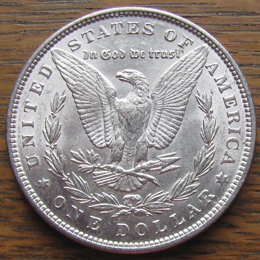 Your-Grading-Thoughts-On-This-1889-Morgan-Dollar